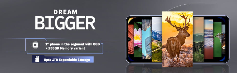 dream bigger bream bigger